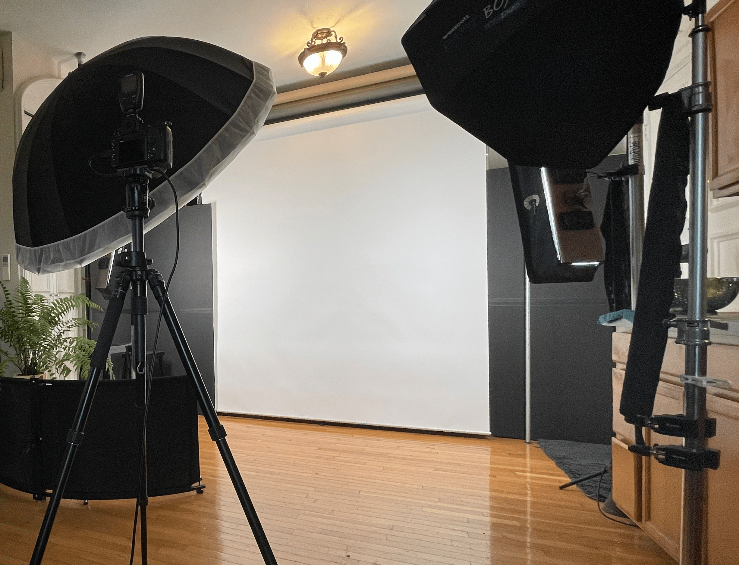 Studio Headshot Setup Logo